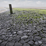 Flamish and Zeelandic coast